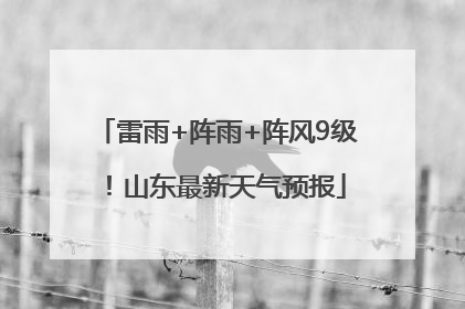 雷雨+阵雨+阵风9级！山东最新天气预报