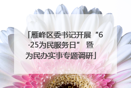 雁峰区委书记开展“6·25为民服务日” 暨为民办实事专题调研