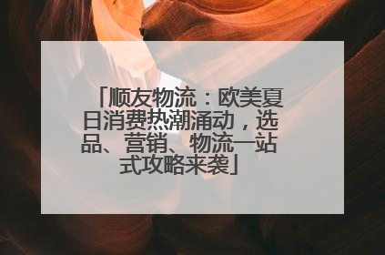 顺友物流：欧美夏日消费热潮涌动，选品、营销、物流一站式攻略来袭