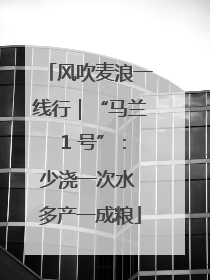 风吹麦浪一线行｜“马兰 1 号”：少浇一次水 多产一成粮