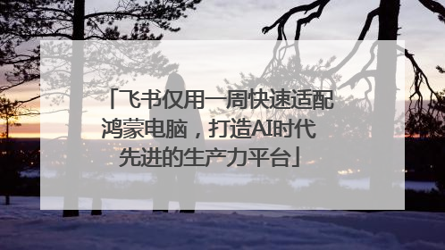 飞书仅用一周快速适配鸿蒙电脑，打造AI时代先进的生产力平台
