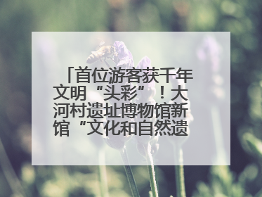 首位游客获千年文明“头彩”！大河村遗址博物馆新馆“文化和自然遗产日”璀璨启幕