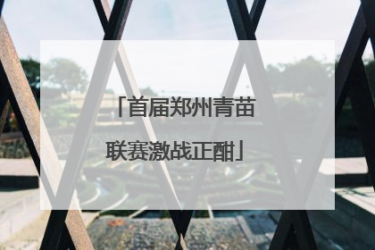 首届郑州青苗联赛激战正酣
