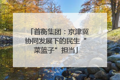 首衡集团：京津冀协同发展下的民生“菜篮子”担当
