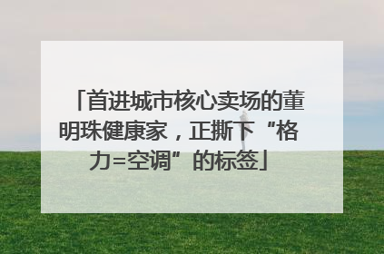 首进城市核心卖场的董明珠健康家，正撕下“格力=空调”的标签