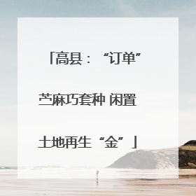 高县：“订单”苎麻巧套种 闲置土地再生“金”