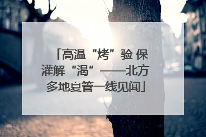 高温“烤”验 保灌解“渴”——北方多地夏管一线见闻