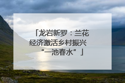 龙岩新罗：兰花经济激活乡村振兴“一池春水”