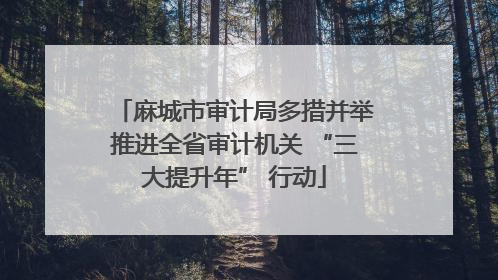麻城市审计局多措并举推进全省审计机关 “三大提升年” 行动