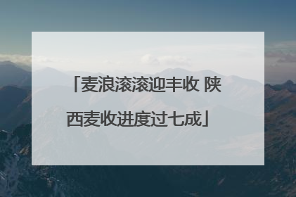 麦浪滚滚迎丰收 陕西麦收进度过七成