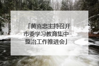 黄喜忠主持召开市委学习教育集中整治工作推进会