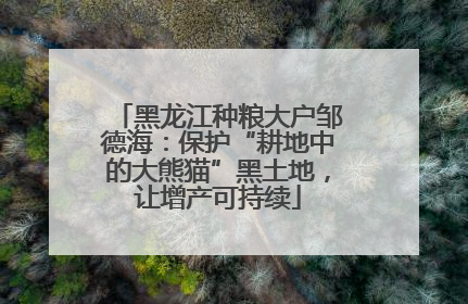 黑龙江种粮大户邹德海：保护“耕地中的大熊猫”黑土地，让增产可持续