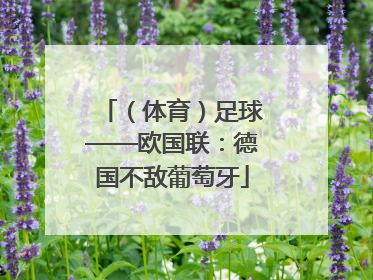 （体育）足球——欧国联：德国不敌葡萄牙