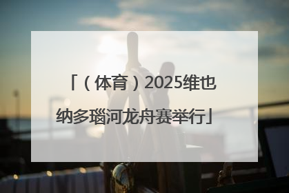 （体育）2025维也纳多瑙河龙舟赛举行