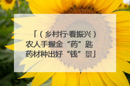 （乡村行·看振兴）农人手握金“药”匙 药材种出好“钱”景