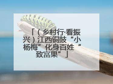 （乡村行·看振兴）江西铜鼓“小杨梅”化身百姓“致富果”