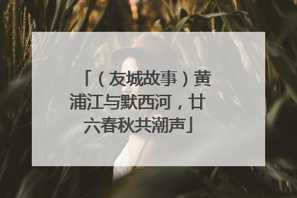 （友城故事）黄浦江与默西河，廿六春秋共潮声