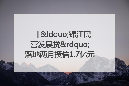 “锦江民营发展贷”落地两月授信1.7亿元，惠及118家民企
