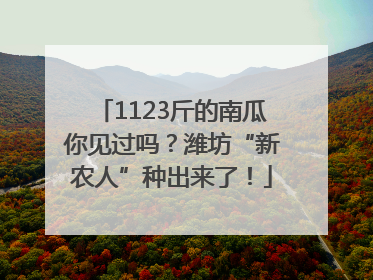 1123斤的南瓜你见过吗？潍坊“新农人”种出来了！