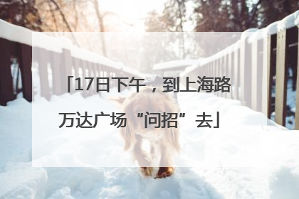 17日下午，到上海路万达广场“问招”去