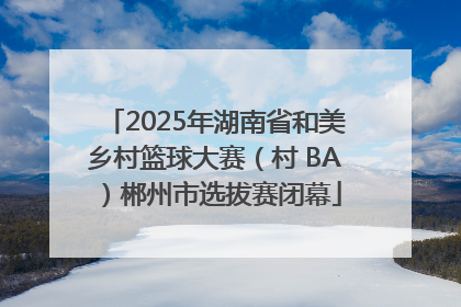 2025年湖南省和美乡村篮球大赛（村 BA）郴州市选拔赛闭幕