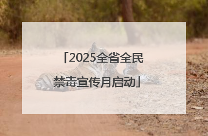 2025全省全民禁毒宣传月启动