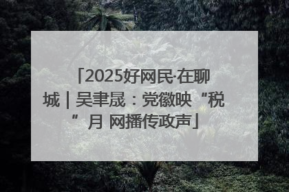 2025好网民·在聊城｜吴聿晟：党徽映“税”月 网播传政声