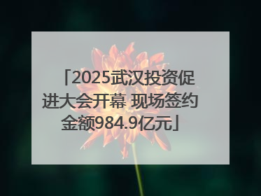 2025武汉投资促进大会开幕 现场签约金额984.9亿元