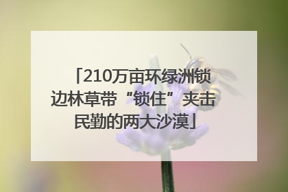 210万亩环绿洲锁边林草带“锁住”夹击民勤的两大沙漠