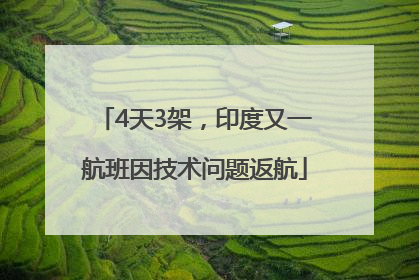 4天3架，印度又一航班因技术问题返航