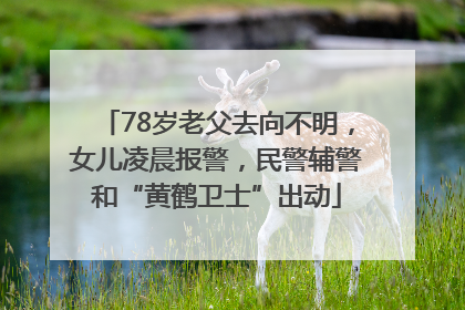 78岁老父去向不明，女儿凌晨报警，民警辅警和“黄鹤卫士”出动