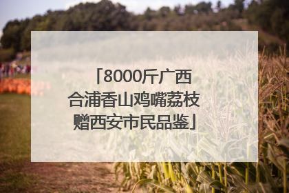8000斤广西合浦香山鸡嘴荔枝赠西安市民品鉴