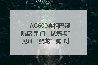 AG600亮相巴黎航展 荆门“试炼场”见证“鲲龙”腾飞