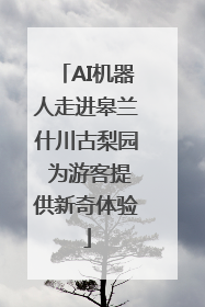AI机器人走进皋兰什川古梨园 为游客提供新奇体验